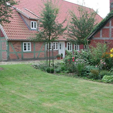 Ferienwohnung Am Elbdeich Bleckede Eksteriør bilde